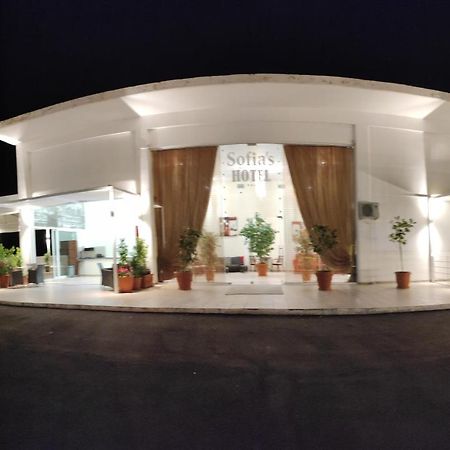 Sofias Hotel Ioánnina Exteriér fotografie